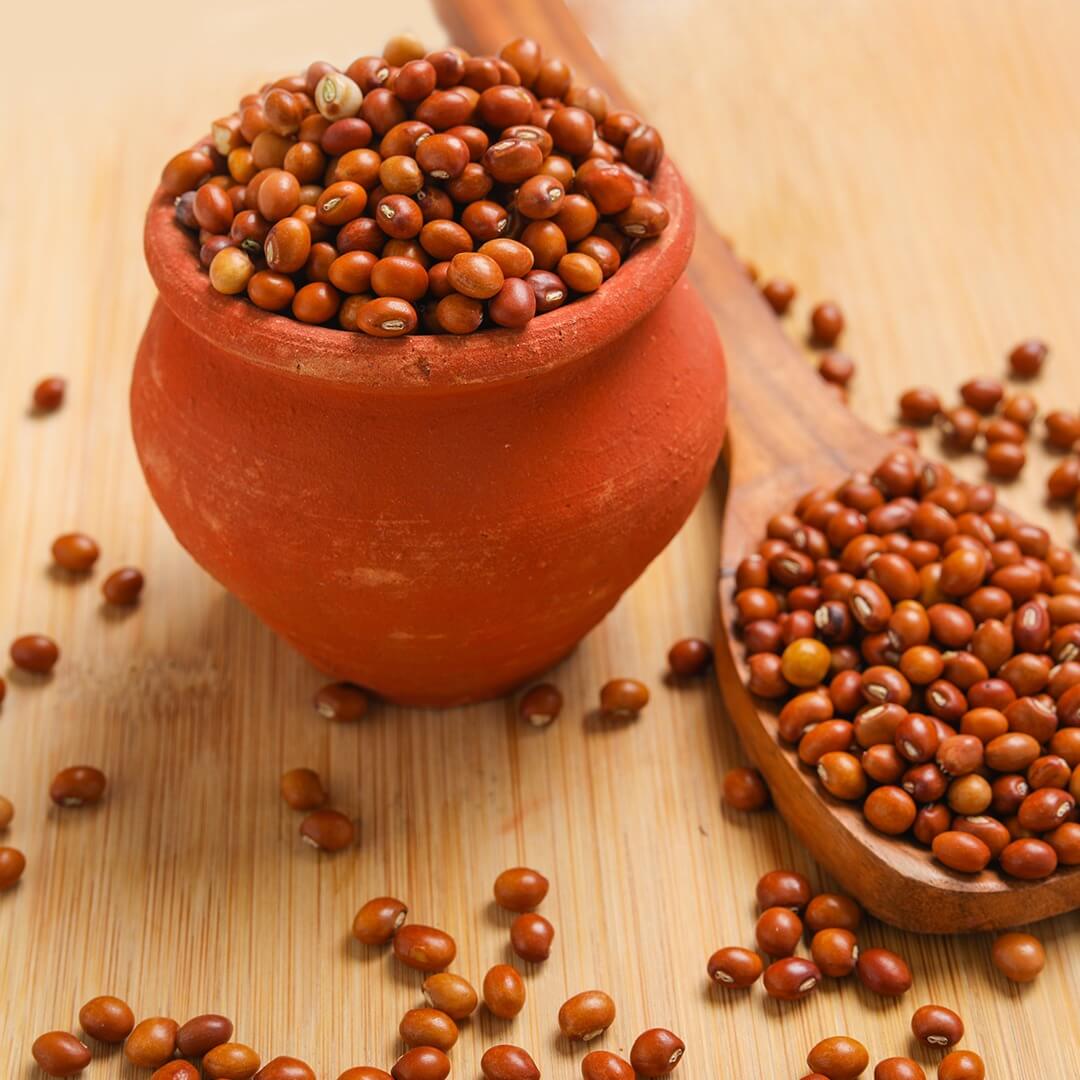 Pigeon Peas Outdoor Adventure